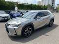 Lexus UX 250h Hybrid 4WD Executive IVA ESPOSTA COMPRESA - thumbnail 1