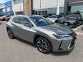 Lexus UX 250h Hybrid 4WD Executive IVA ESPOSTA COMPRESA - thumbnail 8
