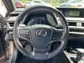 Lexus UX 250h Hybrid 4WD Executive IVA ESPOSTA COMPRESA - thumbnail 12