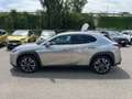 Lexus UX 250h Hybrid 4WD Executive IVA ESPOSTA COMPRESA - thumbnail 3