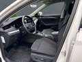 Skoda Octavia Combi First Edition 2.0 TDI+Anhängerkupplung+Navi Weiß - thumbnail 8