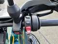 BMW R 1300 GS R 1300 GS Grün - thumbnail 8