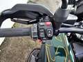 BMW R 1300 GS R 1300 GS Grün - thumbnail 7