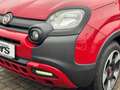 Fiat Panda Cross Red+CARPLAY+KLIMAAUTO+DAB+BLUETOOT+8FACH+ Rouge - thumbnail 11