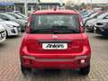 Fiat Panda Cross Red+CARPLAY+KLIMAAUTO+DAB+BLUETOOT+8FACH+ Rouge - thumbnail 6