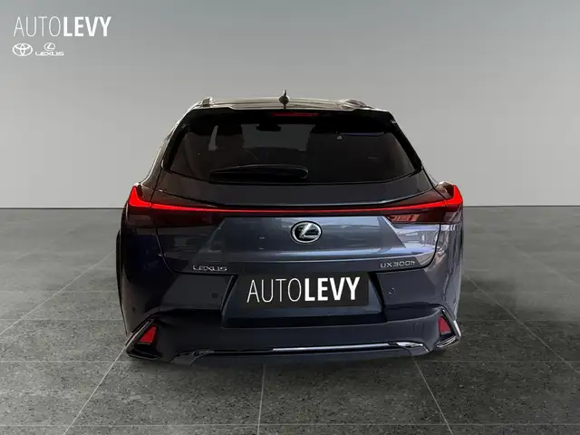 Lexus UX view 5