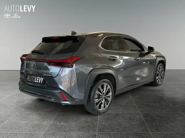 Lexus UX view 6