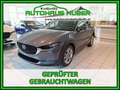 Mazda CX-30 G150 AUT AWD EXCLUSIVE DASO DESI Grau - thumbnail 1