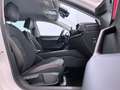 SEAT Leon SP 1.5 eTSI 110kW DSG S&S Xcellence Go L Blanco - thumbnail 18