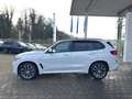 BMW X5 xDrive45e M Sport ACC HUD 360° Memorysitze Weiß - thumbnail 15