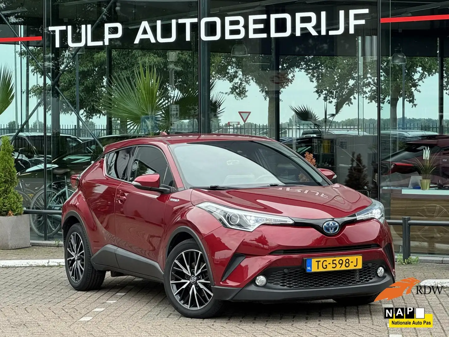 Toyota C-HR 1.8 Hybrid Energy 2018 Clima Navi pdc Cruise Cnt Rojo - 1