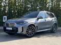 BMW X5 xD30d Gris - thumbnail 20