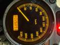 Harley-Davidson Sportster 883 XL 883C Negru - thumbnail 7