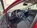 SEAT Leon 1.2 TSI Style 1. Hand Klimaautom. Allwetter Rot - thumbnail 13