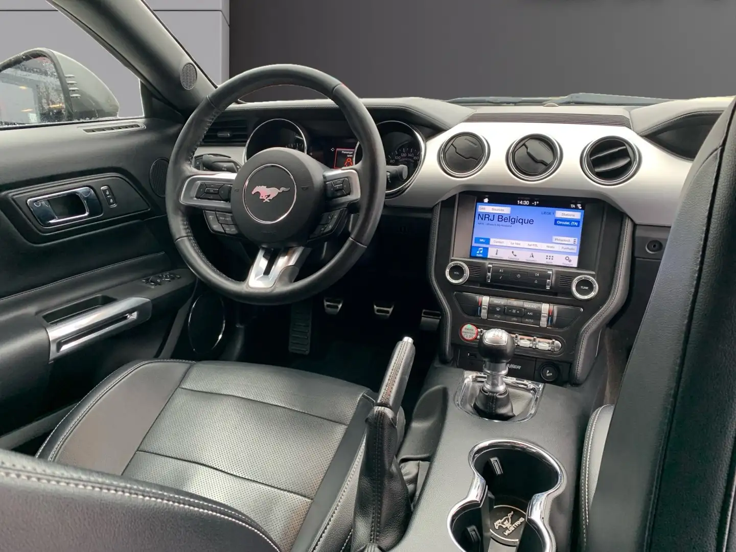 Ford Mustang Mustang 2.3 EcoBoost Grau - 2