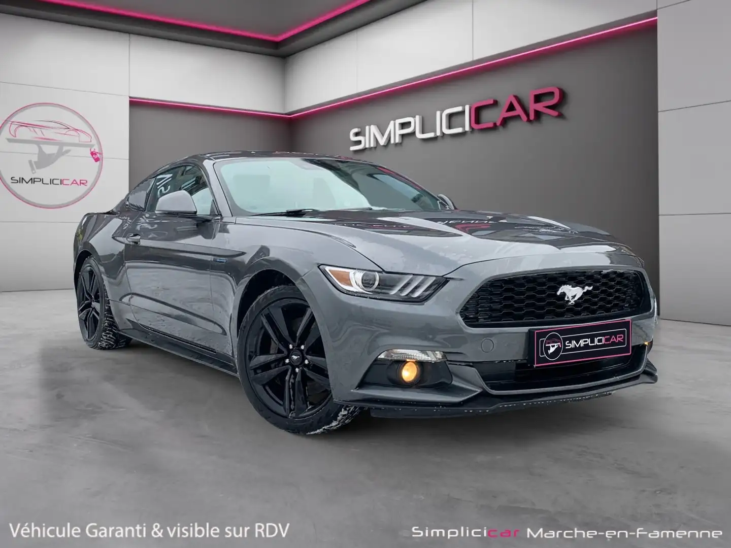 Ford Mustang Mustang 2.3 EcoBoost Grau - 1