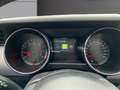 Ford Mustang Mustang 2.3 EcoBoost Grau - thumbnail 13