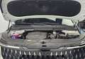 Kia Carnival Hybrid High-Limousine - Import aus Korea Белый - thumbnail 15