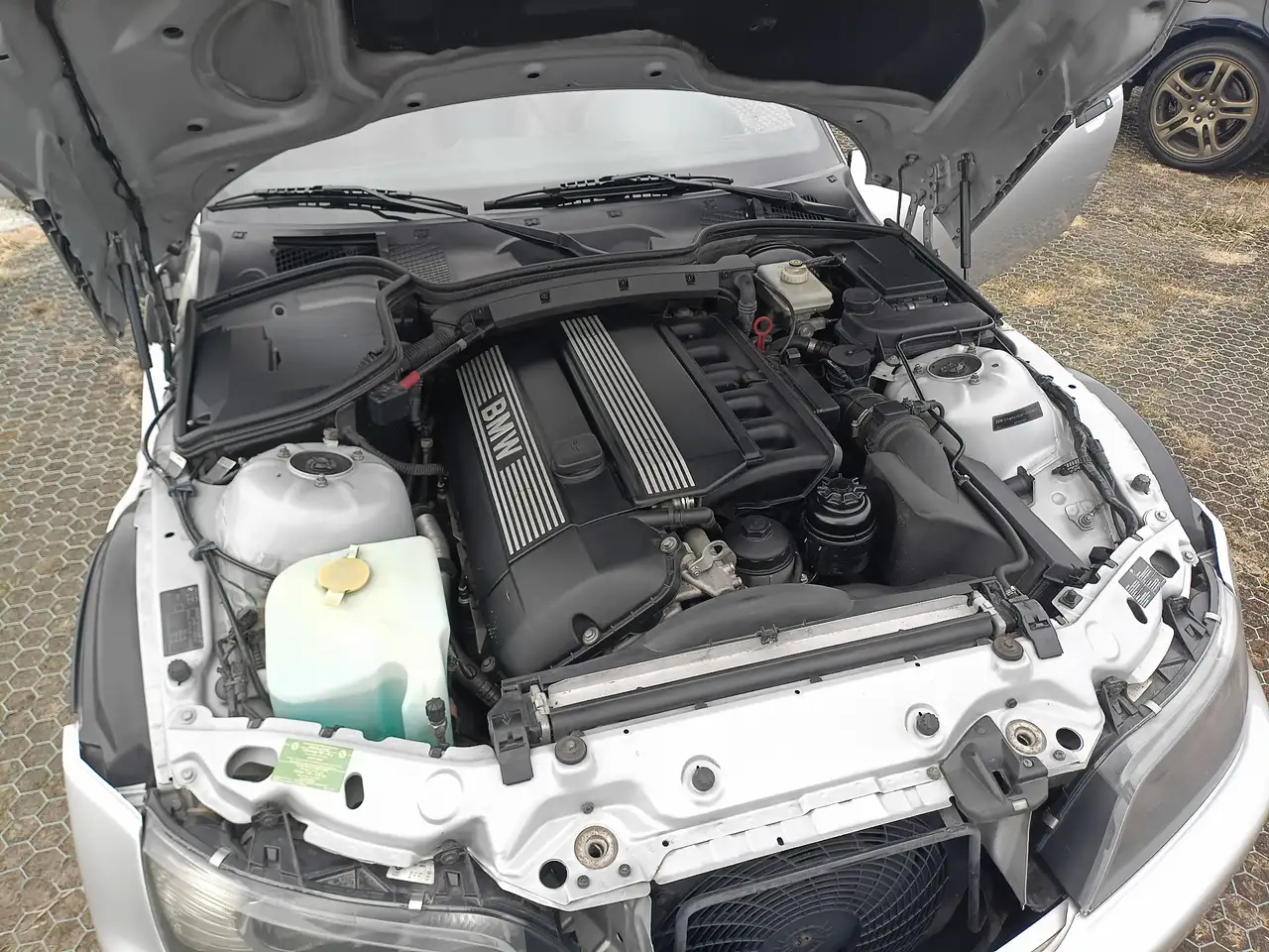 BMW Z3 2.8i, foto 7
