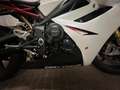 Triumph Daytona 675 Daytona 675r Blanco - thumbnail 8