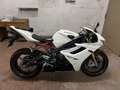 Triumph Daytona 675 Daytona 675r Blanco - thumbnail 1