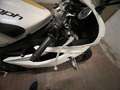 Triumph Daytona 675 Daytona 675r Blanco - thumbnail 4