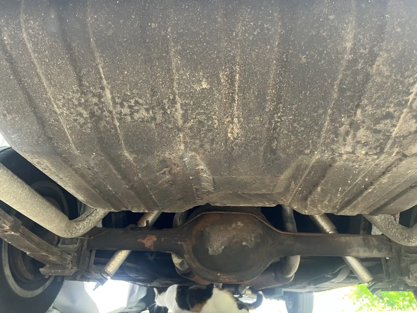 Mercury Cougar Rot - 2