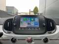 Fiat 500 1.2 Collezione *carplay *climate *16 inch *uniek Grijs - thumbnail 24