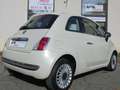 Fiat 500 1.2 L LOUNGE - thumbnail 8