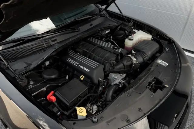 Dodge Charger view 12