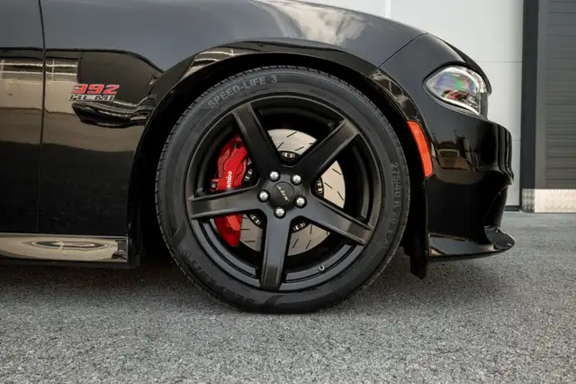 Dodge Charger view 10