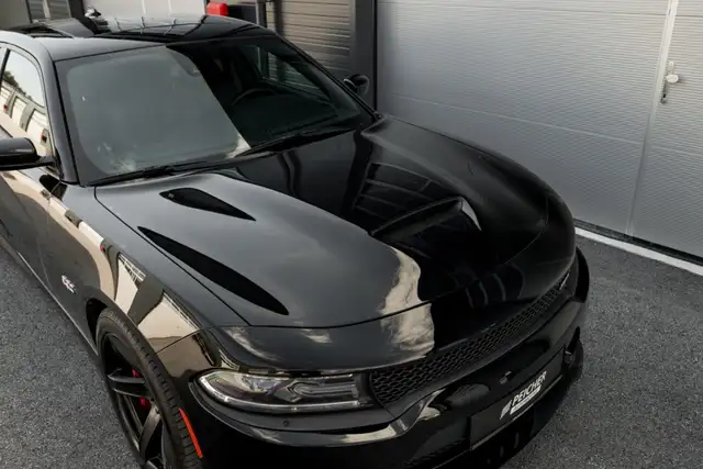 Dodge Charger view 11