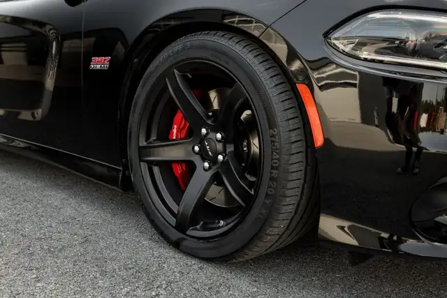 Dodge Charger view 9