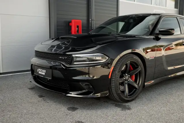 Dodge Charger view 13
