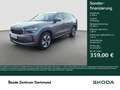 Skoda Kodiaq 2.0 SELECTION LEDER PANO 360°CAM ACC LM18 Серый - thumbnail 1