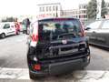 Fiat Panda 1.0 Hybrid 70cv Nero - thumbnail 5