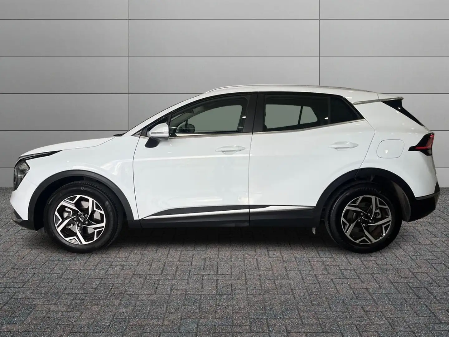 Kia Sportage Sportage 1.6 tgdi mhev Business dct Weiß - 2