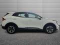 Kia Sportage Sportage 1.6 tgdi mhev Business dct Weiß - thumbnail 3