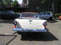 Ford RANCHERO sturbekr V 8 6600 cm³ taxatie rapport 385 Wit - thumbnail 24