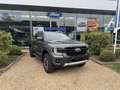 Ford Ranger Ranger 2,3 l EcoBoost PHEV Wildtrak Grau - thumbnail 1