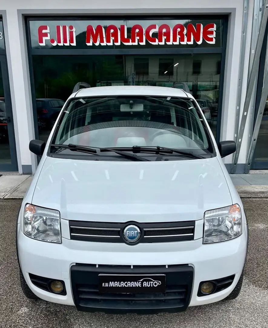 Fiat Panda 1.2 4x4 Climbing GANCIO/CINGHIA OK Bianco - 2
