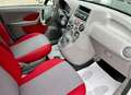 Fiat Panda 1.2 4x4 Climbing GANCIO/CINGHIA OK Bianco - thumbnail 9