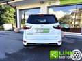 Ford EcoSport 1.0 EcoBoost 125 CV Start&Stop ST-Line GAR.INCLUSA Blanco - thumbnail 14