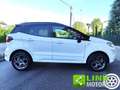 Ford EcoSport 1.0 EcoBoost 125 CV Start&Stop ST-Line GAR.INCLUSA Blanco - thumbnail 12