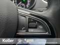 Skoda Octavia Octavia 1.0 TSI DSG LED el.Heckklappe Navi APP BC Gris - thumbnail 12