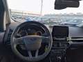 Ford EcoSport 1.0 Ecoboost 125cv S&S Active Wit - thumbnail 8