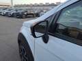Ford EcoSport 1.0 Ecoboost 125cv S&S Active Wit - thumbnail 21