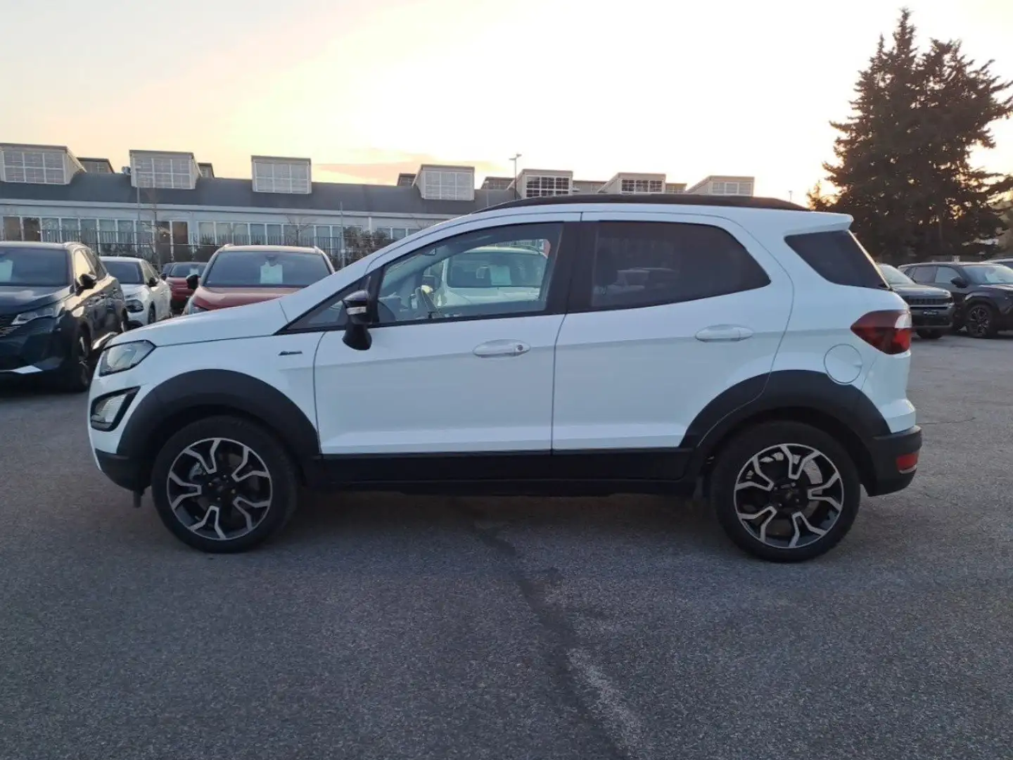 Ford EcoSport 1.0 Ecoboost 125cv S&S Active Wit - 2