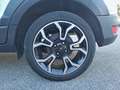 Ford EcoSport 1.0 Ecoboost 125cv S&S Active Wit - thumbnail 7