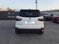 Ford EcoSport 1.0 Ecoboost 125cv S&S Active Wit - thumbnail 4
